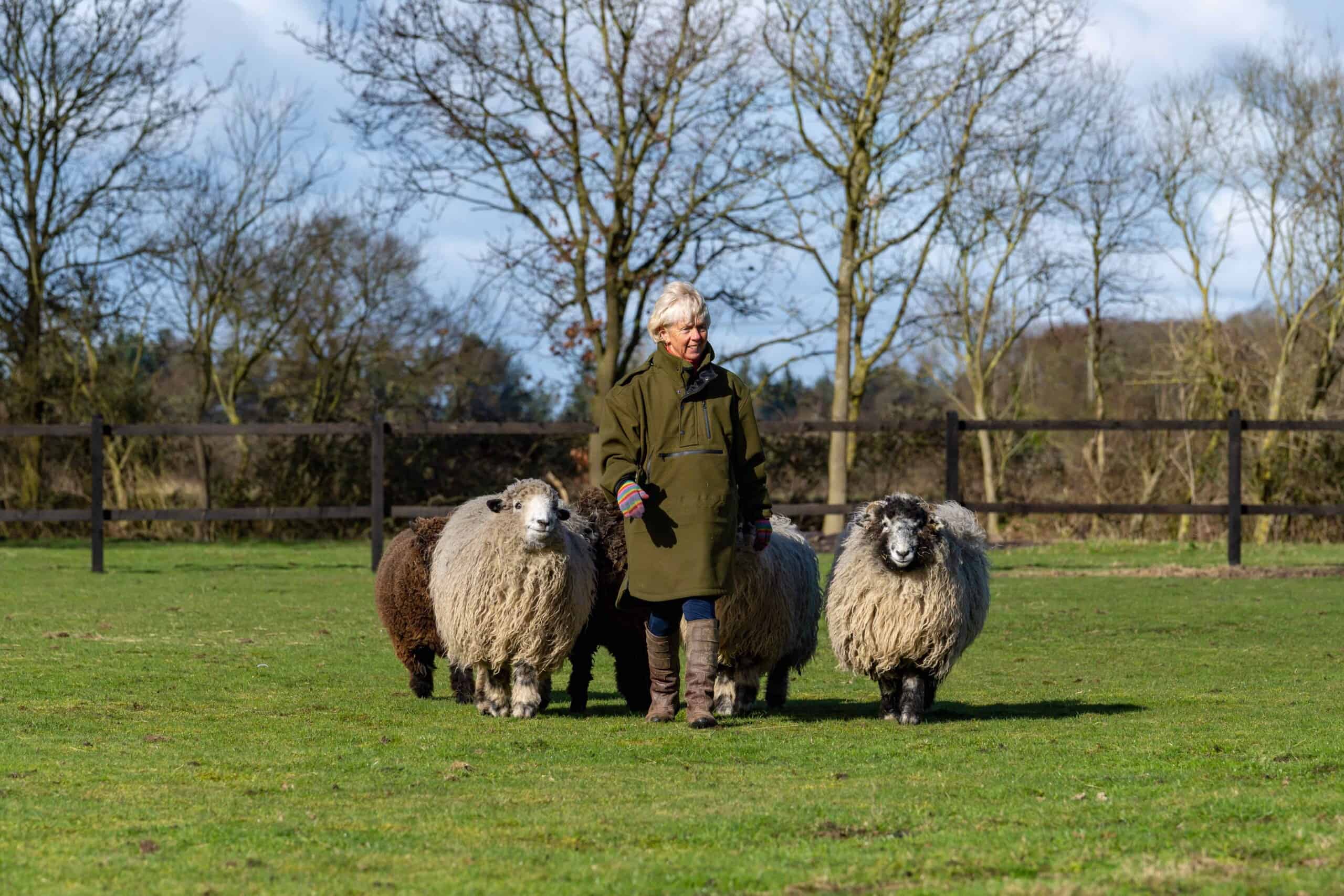 British wool bedding duvet
